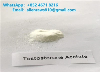 Testósterón asetat hrátt stera duft